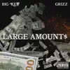 BigKey1x - Large Amounts (feat. Grizz) - Single